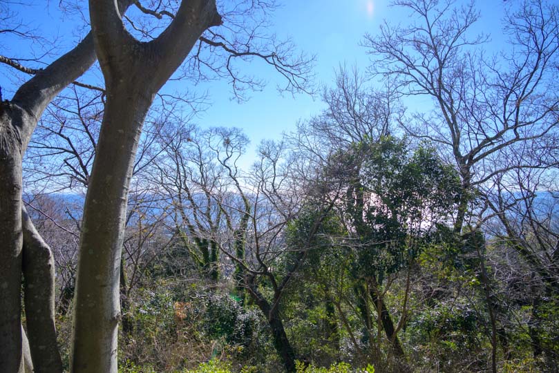 吾妻山公園景色写真