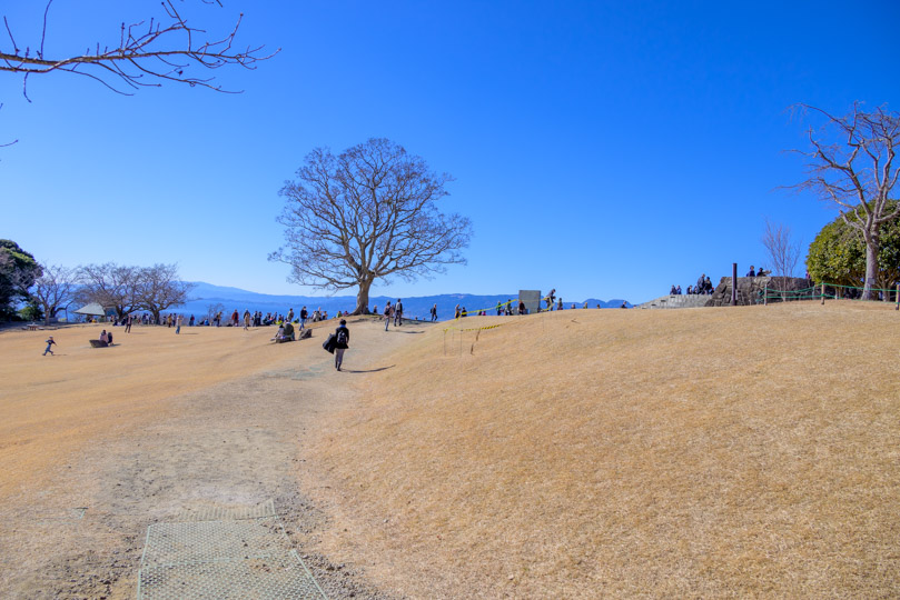 吾妻山公園頂上写真