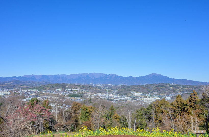 吾妻山公園から見える丹沢写真