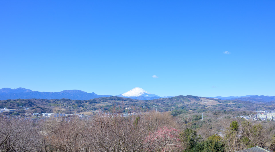 吾妻山公園から見える箱根の山写真