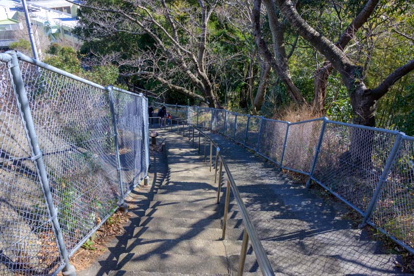 吾妻山公園階段写真